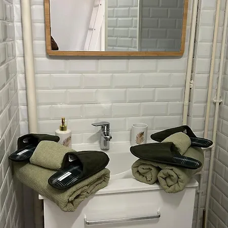 Apartment Marbeuf - Lao Immo Grenoble